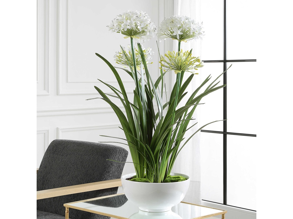 Purity Agapanthus Centerpiece